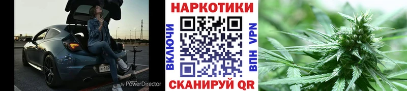 Хочу наркоту Ревда Cocaine  МЕФ  ГАШИШ  Псилоцибиновые грибы  Канабис  АМФ 