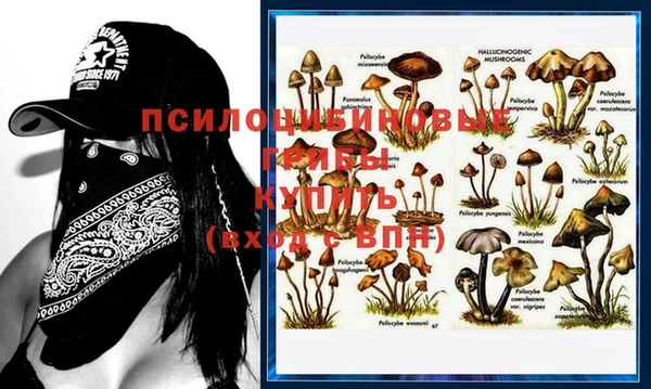 mix Вязьма