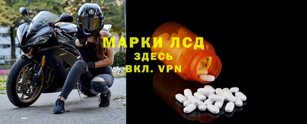 ГАЛЛЮЦИНОГЕННЫЕ ГРИБЫ Вязники