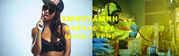 ГАЛЛЮЦИНОГЕННЫЕ ГРИБЫ Вязники