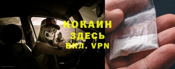 ГАЛЛЮЦИНОГЕННЫЕ ГРИБЫ Вязники