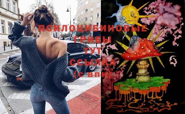 mdma Вяземский