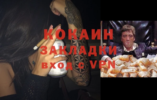 ГАЛЛЮЦИНОГЕННЫЕ ГРИБЫ Вязники