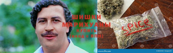 ГАЛЛЮЦИНОГЕННЫЕ ГРИБЫ Вязники